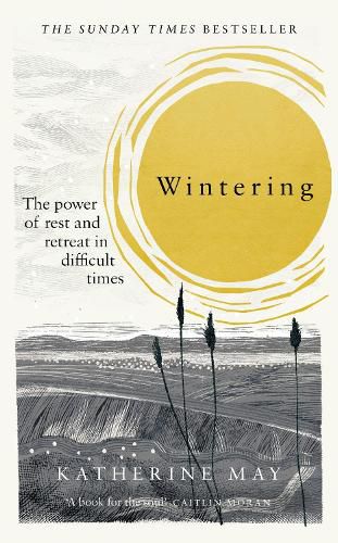 Cover image for Wintering