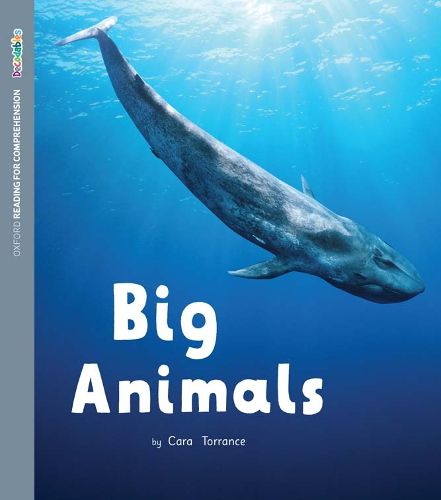 ORFC Decodable Book 46 Big Animals Pack