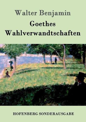 Cover image for Goethes Wahlverwandtschaften