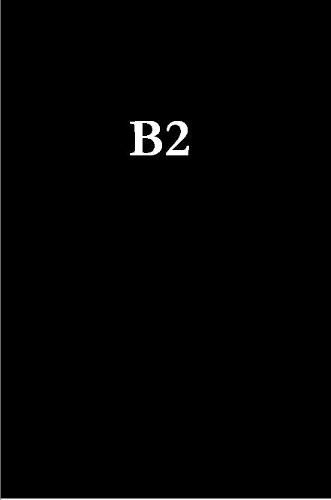 Cover image for B2 the Old Art and New Science of the Business Network