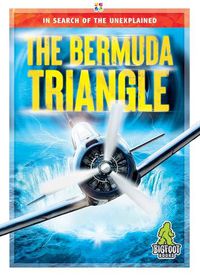 Cover image for The Bermuda Triangle