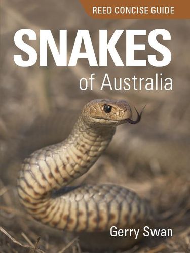 Cover image for Reed Concise Guide: Snakes of Australia: Reed Concise Guide