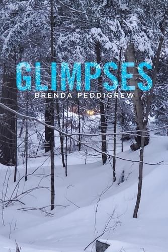 Cover image for Glimpses