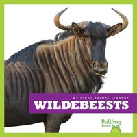 Cover image for Wildebeests