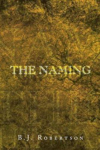 Cover image for The Naming