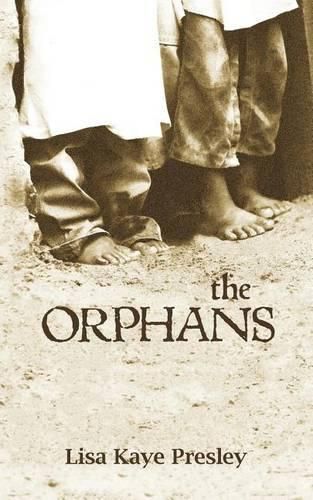 Cover image for The Orphans