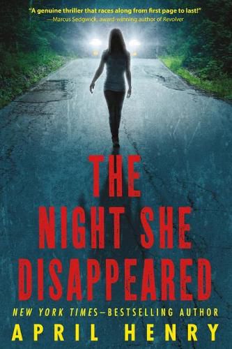 Cover image for The Night She Disappeared