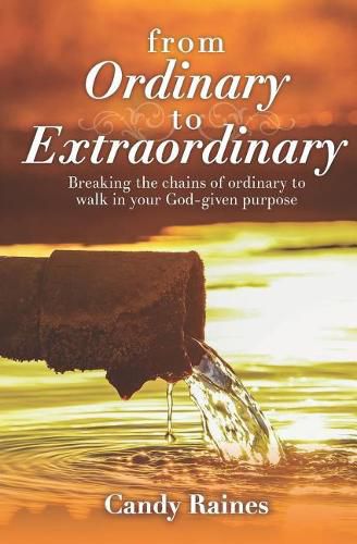 Cover image for From Ordinary to Extraordinary: Breaking the chains or ordinary to walk in your God-given purpose