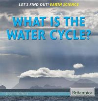 Cover image for What Is the Water Cycle?