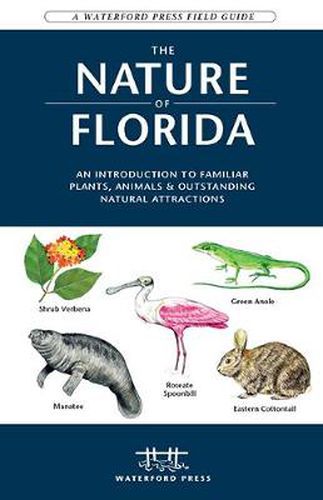 Cover image for The Nature of Florida: An Introduction to Familiar Plants, Animals & Outstanding Natural Attractions