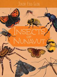 Cover image for Junior Field Guide: Insects of Nunavut: English Edition