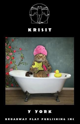 Cover image for Krisit