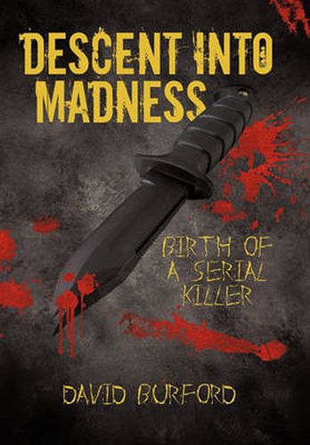 Cover image for Descent Into Madness