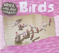 Cover image for Birds