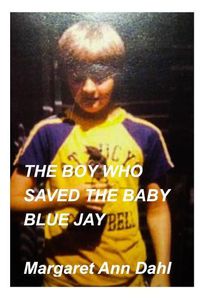 Cover image for The boy who saved the baby blue jay