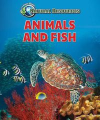 Cover image for Animals and Fish