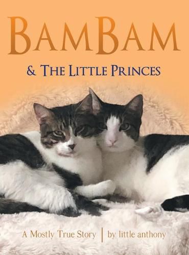 Cover image for Bambam & the Little Princes: A Mostly True Story