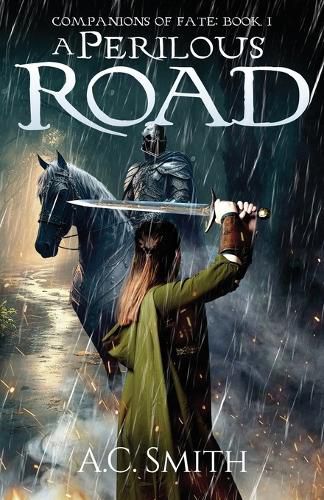 Cover image for A Perilous Road