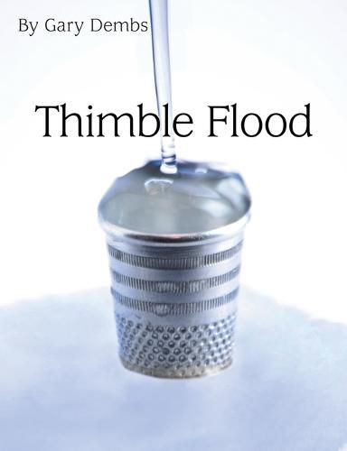 Cover image for Thimble Flood