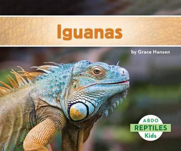 Cover image for Iguanas