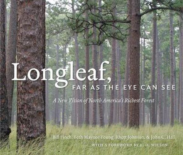 Cover image for Longleaf, Far as the Eye Can See: A New Vision of North America's Richest Forest