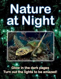 Cover image for Nature at Night