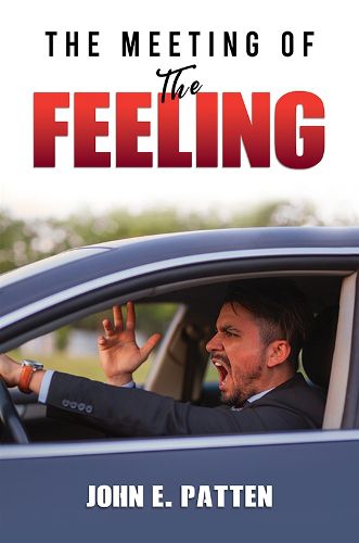 Cover image for The Meeting of the Feeling