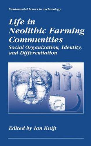 Cover image for Life in Neolithic Farming Communities: Social Organization, Identity, and Differentiation