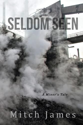 Cover image for Seldom Seen