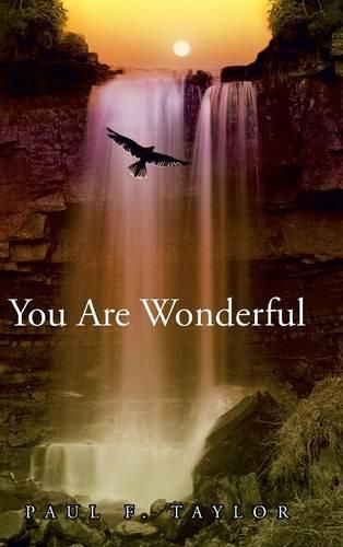 Cover image for You are Wonderful