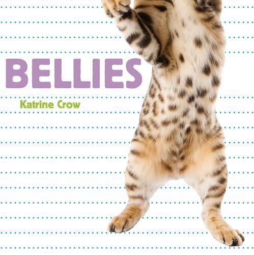 Cover image for Bellies