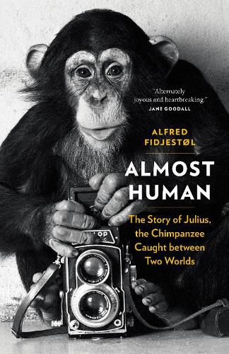 Cover image for Almost Human: The Story of Julius, the Chimpanzee Caught between Two Worlds