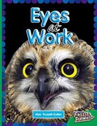 Cover image for Eyes at Work