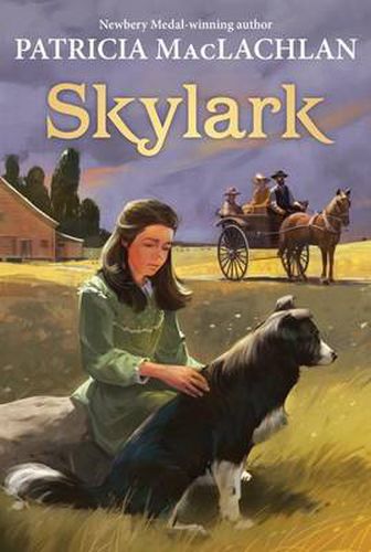 Cover image for Skylark