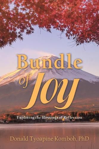 Cover image for Bundle of Joy: Exploring the Blessings of Reflection