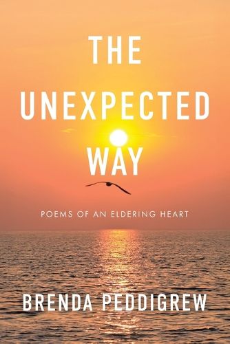 Cover image for The Unexpected Way
