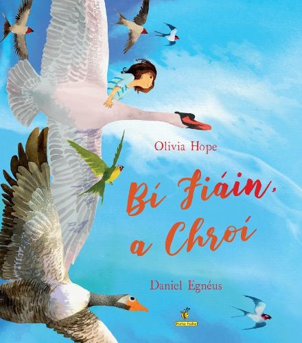 Cover image for Bi Fiain, a chroi