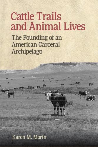 Cover image for Cattle Trails and Animal Lives