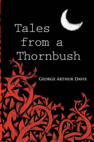 Cover image for Tales from a Thornbush