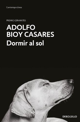 Cover image for Dormir al sol / Asleep in the Sun
