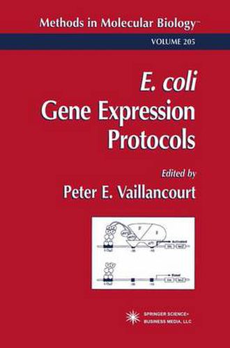 Cover image for E. coli Gene Expression Protocols