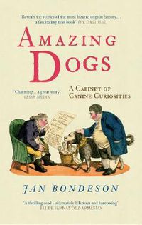 Cover image for Amazing Dogs: A Cabinet of Canine Curiosities