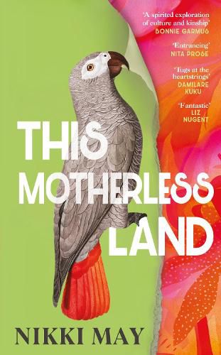 Cover image for This Motherless Land