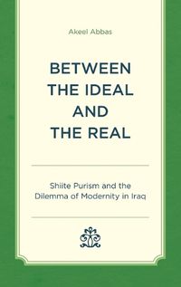 Cover image for Between the Ideal and the Real