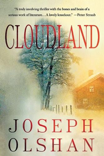 Cover image for Cloudland: A Crime Novel