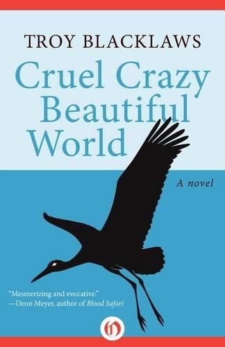 Cover image for Cruel Crazy Beautiful World