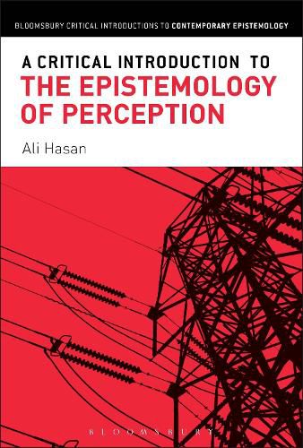 Cover image for A Critical Introduction to the Epistemology of Perception