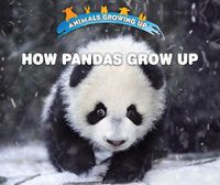 Cover image for How Pandas Grow Up