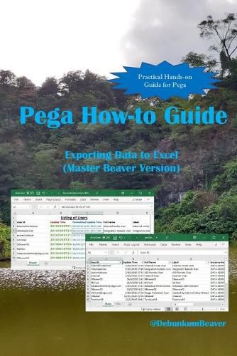 Cover image for Pega How-to Guide: Exporting Data to Excel (Master Beaver Version)