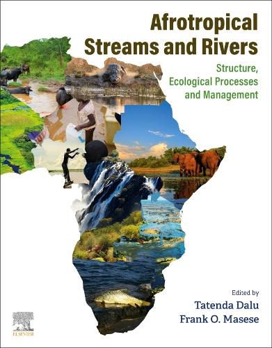 Cover image for Afrotropical Streams and Rivers